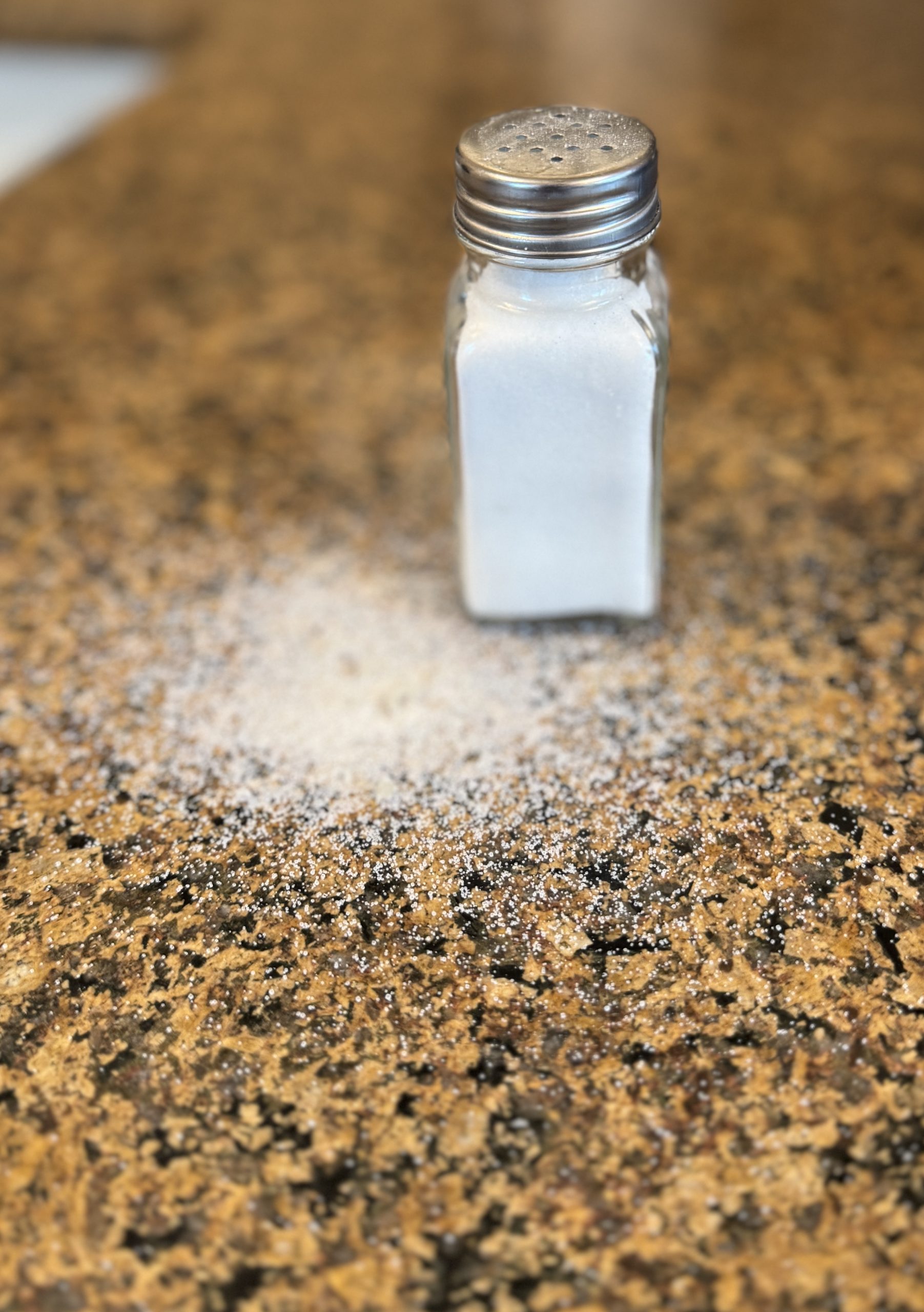 We are the SALT of the Earth